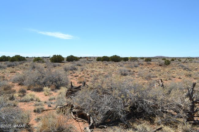 Land | Image 6