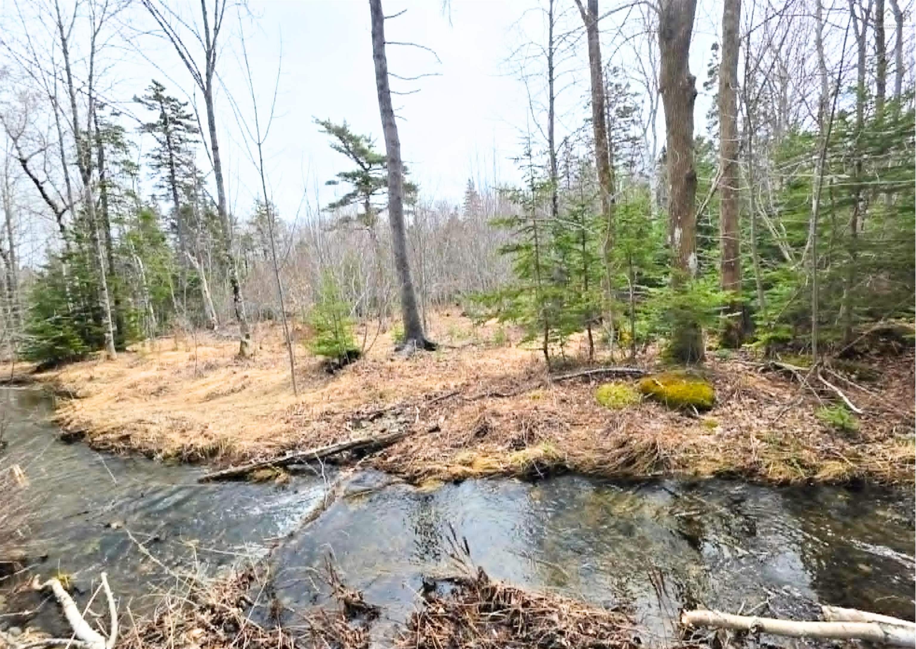 Land in Cape Breton 4