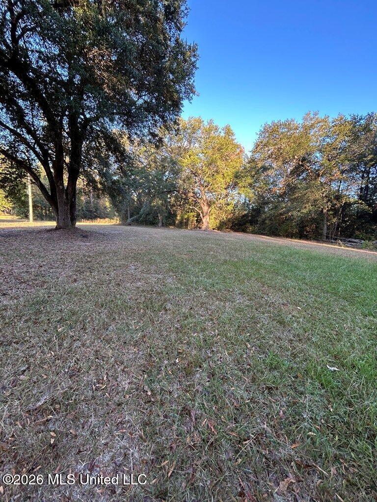 Nhn Hammock Road, For Sale in Carriere - eXp Realty