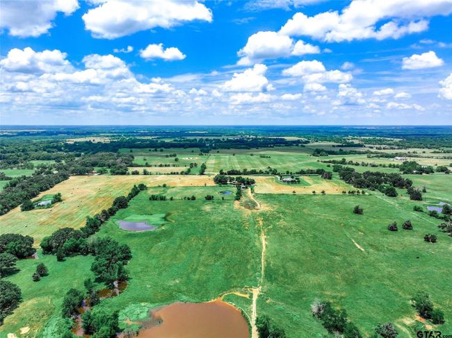 20 Acres County Road 3533, Home with 0 bedrooms, 0 bathrooms and null parking in Saltillo TX | Image 23
