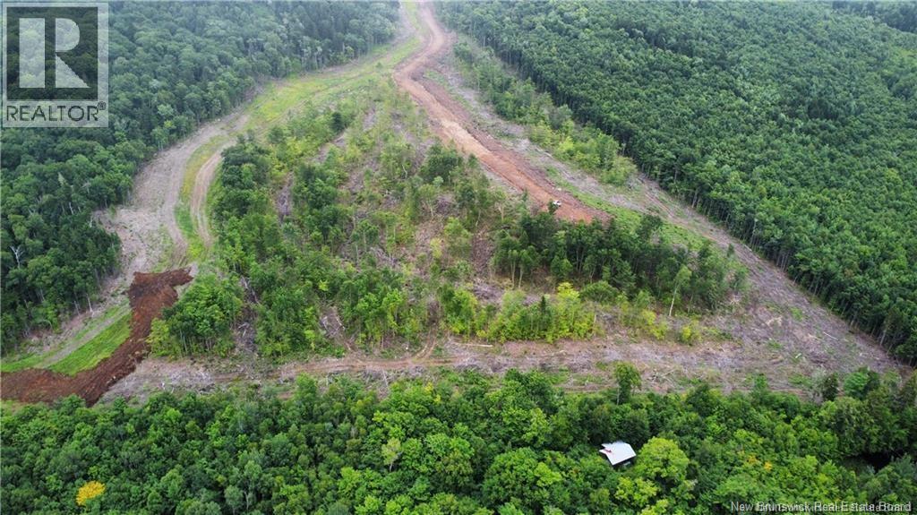 Land in Central Hainesville 5