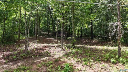 Lot 118 Honeycomb Valley Rd, Grant, AL, 35747-7116 | Card Image