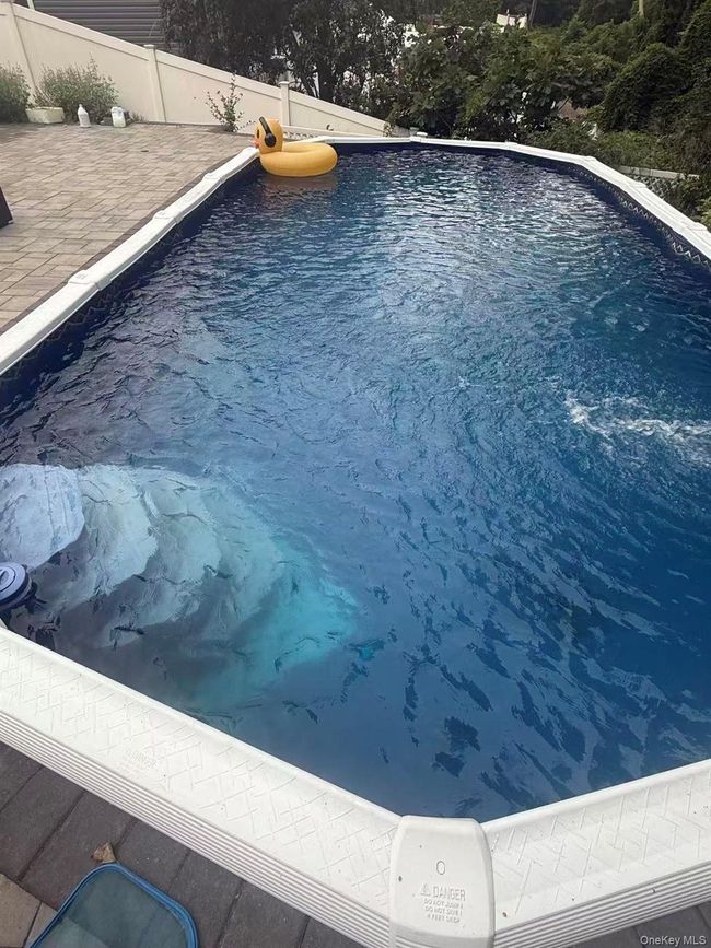 Swimming pool with a fenced backyard | Image 6
