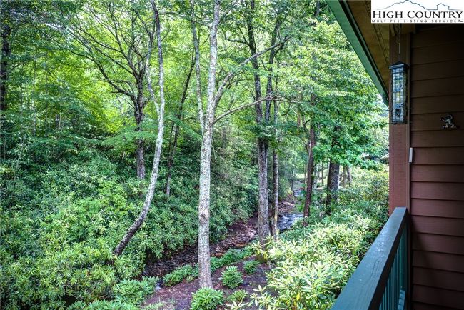 101 - 101 Clary Ct, Townhouse with 3 bedrooms, 3 bathrooms and null parking in Blowing Rock NC | Image 28