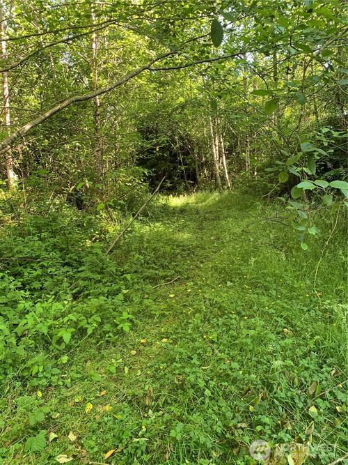 2 Tract Parpala Rd, Naselle, WA, 98638 | Card Image