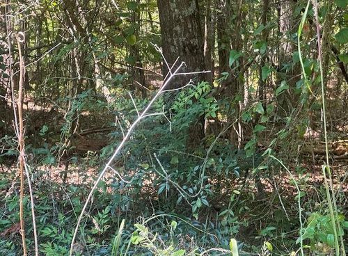 lot A-99 Possum Point Dr, Eatonton, GA, 31024 | Card Image