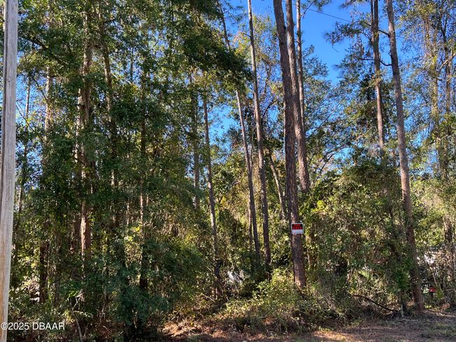 125 E Boundary Dr, Home with 0 bedrooms, 0 bathrooms and null parking in GEORGETOWN FL | Image 5