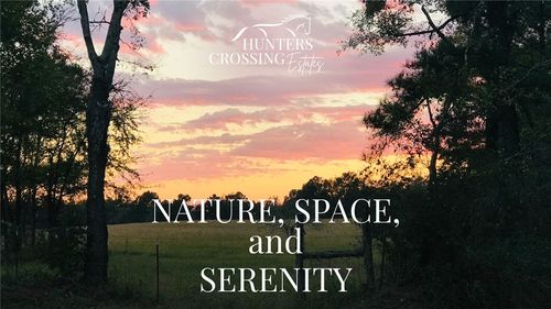 6401 Scenic View Trail Trail, Bryan, TX, 77808 | Card Image