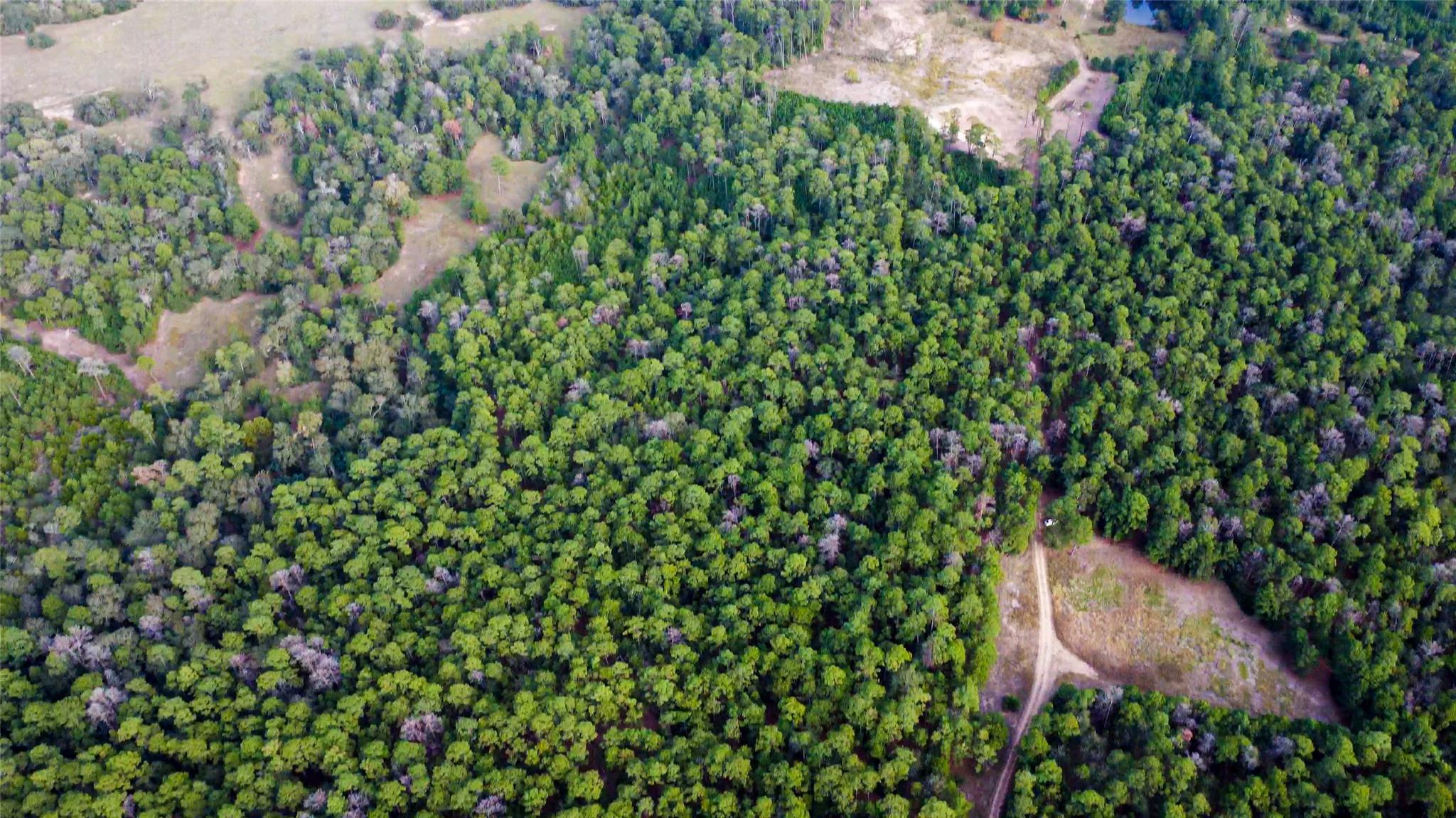 Land in La Grange 3