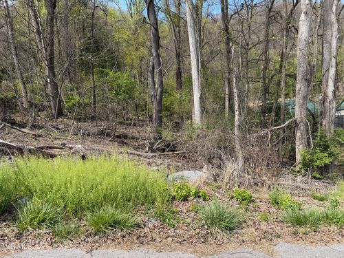 513 San Antonio Drive, Bristol, TN, 37620 | Card Image