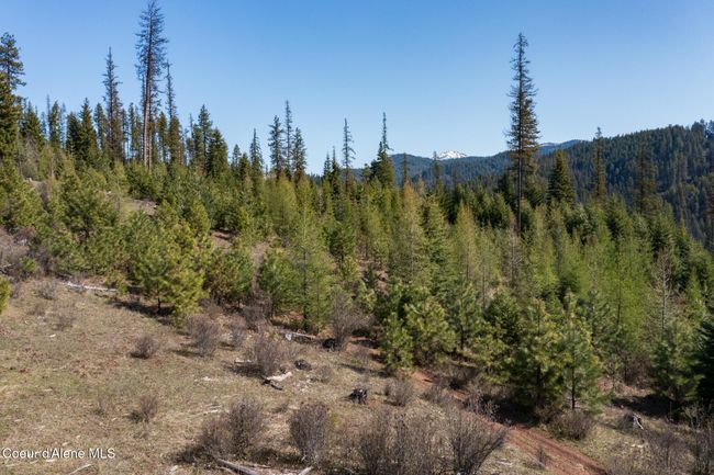 262 North Side Road, Home with 0 bedrooms, 0 bathrooms and null parking in Calder ID | Image 40