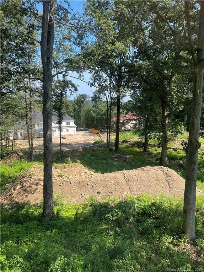 Open tree cleared lot in back. | Image 35