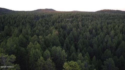 155 E Ski Run Rd, Williams, AZ, 86046 | Card Image