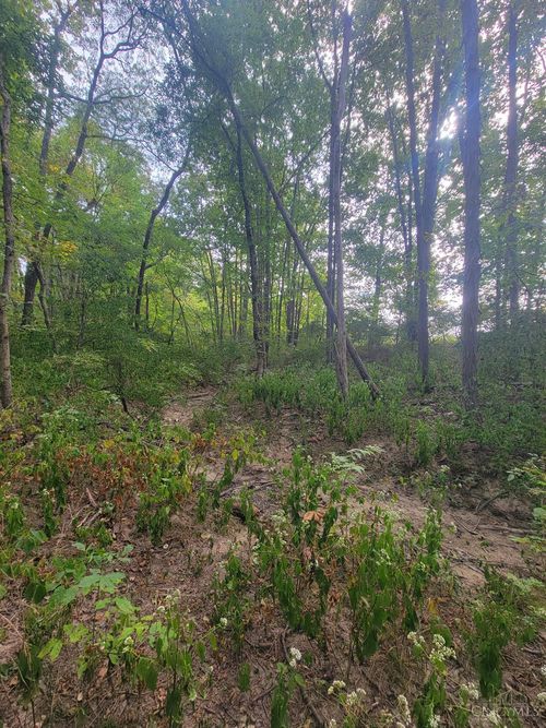 5 Fischer Rd, Clarksville, OH, 45113 | Card Image