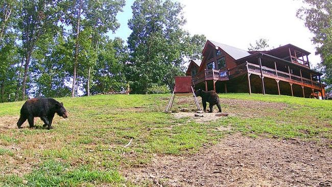 4760 Anderson Rd, Home with 4 bedrooms, 4 bathrooms and 2 parking in Hiawassee GA | Image 83