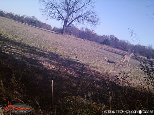 374000 W 1170 Road, Wetumka, OK, 74883 | Card Image