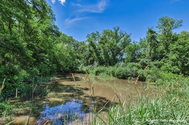 13703 Obrien Rd, House other with 3 bedrooms, 3 bathrooms and 2 parking in Hebron IL | Image 32