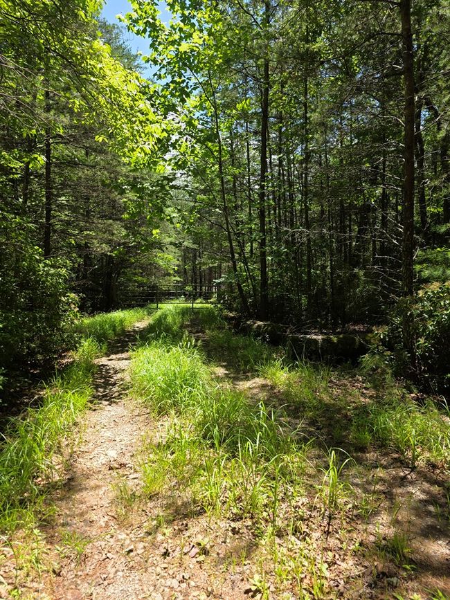 Lot 1 High Knee Rd, Home with 0 bedrooms, 0 bathrooms and null parking in Cherry Log GA | Image 16