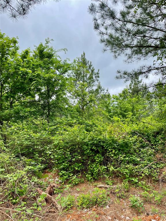 Land in Broken Bow 2