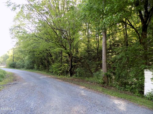Par 023.04 Driftwood Rd, Cosby, TN, 37722 | Card Image