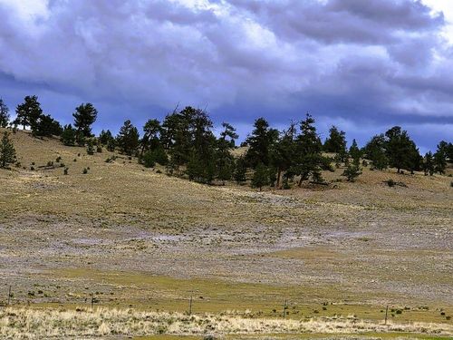 1101 Superstition Trl, HARTSEL, CO, 80449 | Card Image