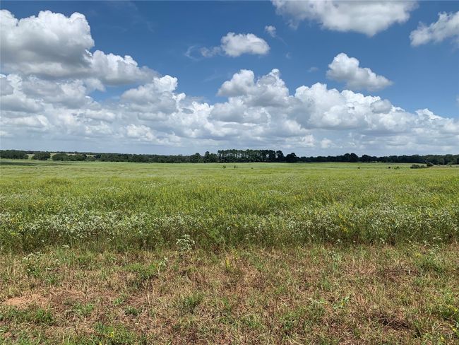 View of local wilderness featuring rural landscape | Image 6
