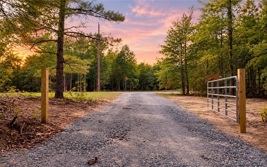 Land in Fayetteville 3