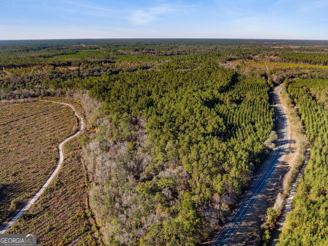0 Highway 185, Home with 0 bedrooms, 0 bathrooms and null parking in Saint George GA | Image 6