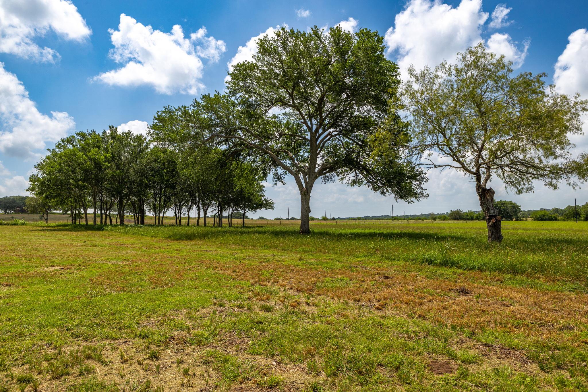 Land in Flatonia 2