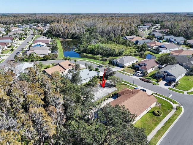 1323 Baythorn Dr, Home with 0 bedrooms, 0 bathrooms and null parking in Wesley Chapel FL | Image 12