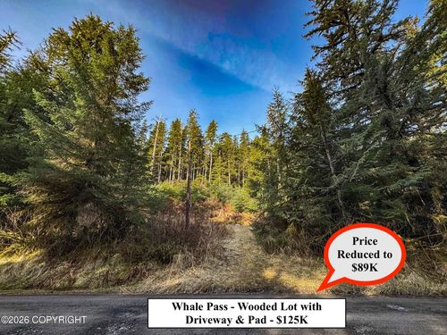Lot 7 Usfs 30 Road, Whale Pass, AK, 99927 | Card Image