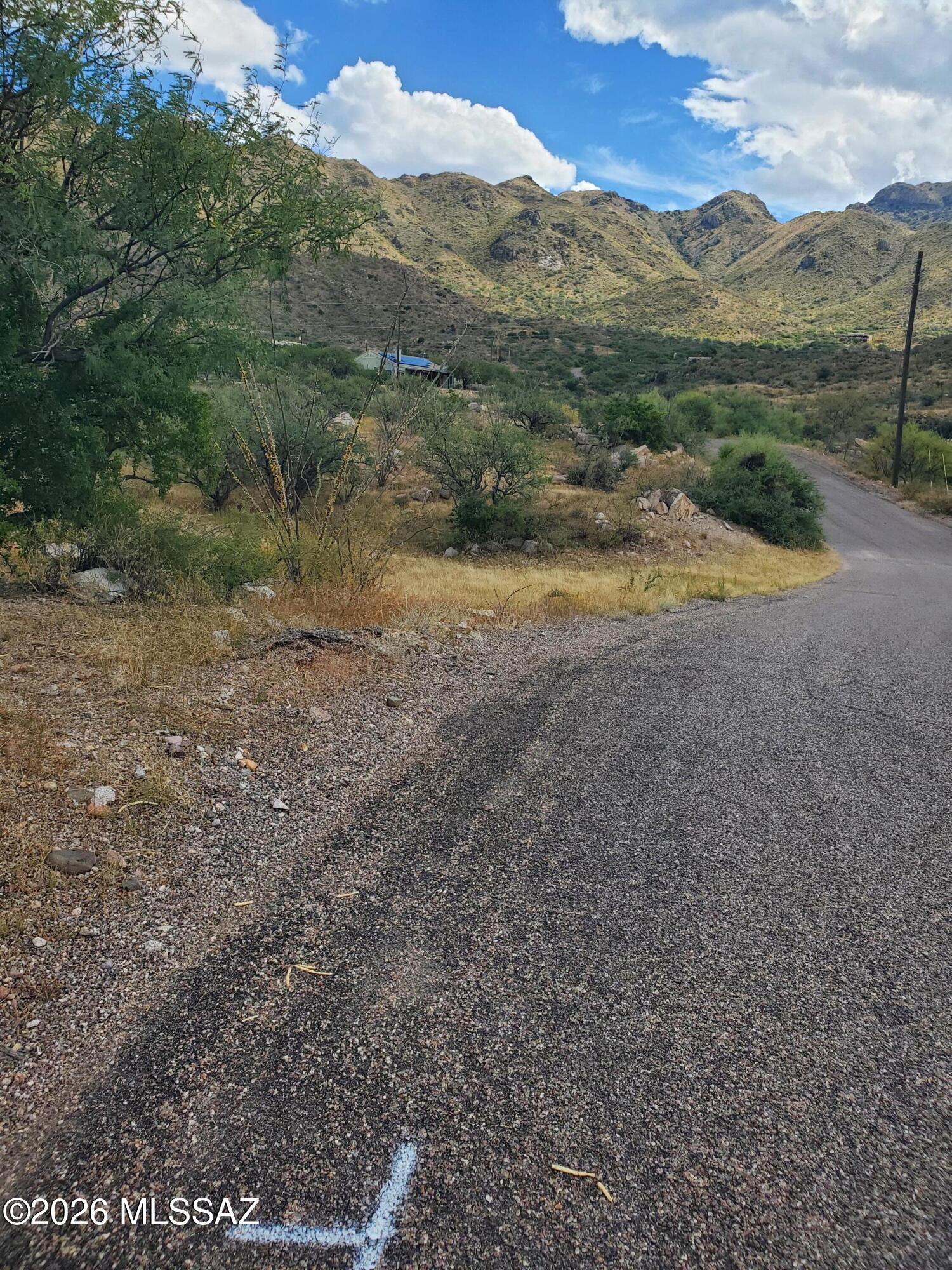 Land in Rio Rico 4