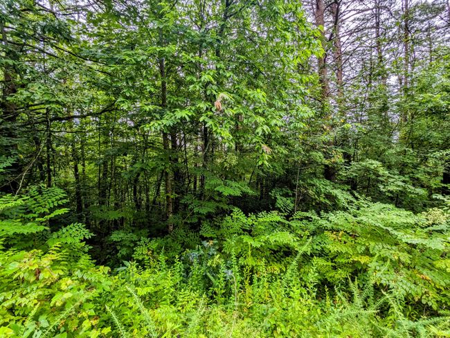 32 Lakeview Dr, Home with 0 bedrooms, 0 bathrooms and null parking in Turtletown TN | Image 4