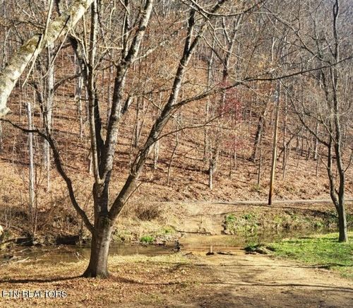 0 Dulaney Rd, Mosheim, TN, 37818 | Card Image