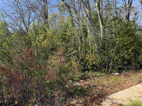 9 Allen Street, Enoree, SC, 29335 | Card Image