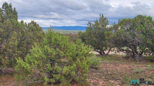 83-49 Sweetwater Dr, Quemado, NM, 87829-9098 | Card Image