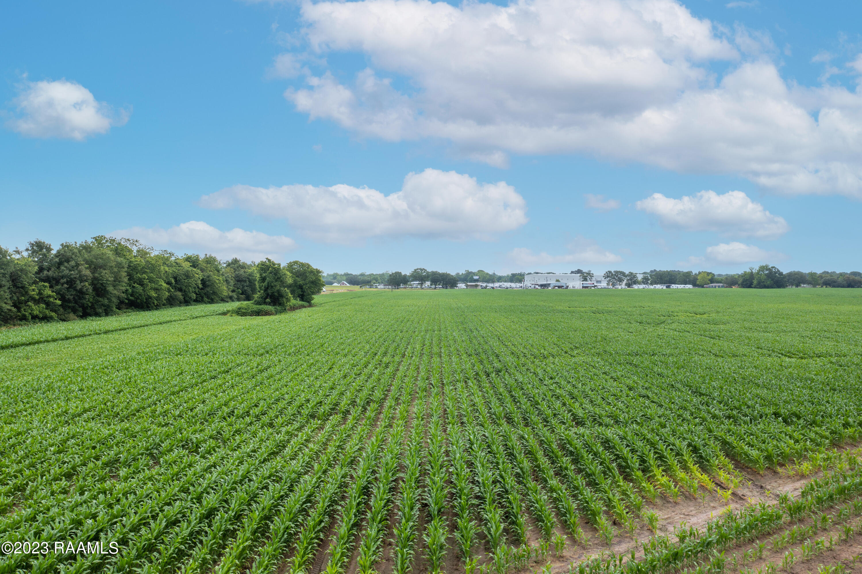 Land in Carencro 5