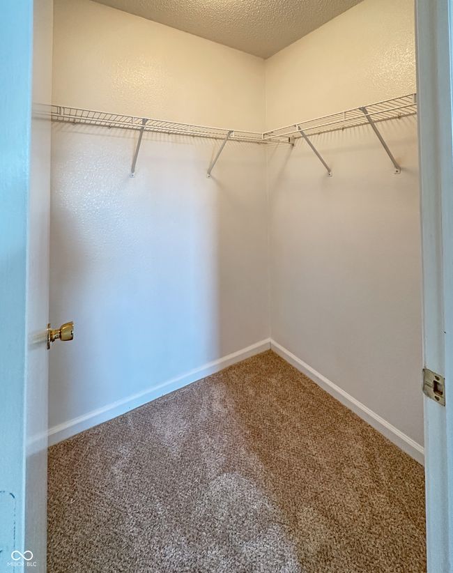 spacious closet with carpet | Image 21