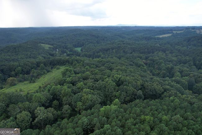 0 Peach Orchard Dr, Home with 0 bedrooms, 0 bathrooms and null parking in Alto GA | Image 4