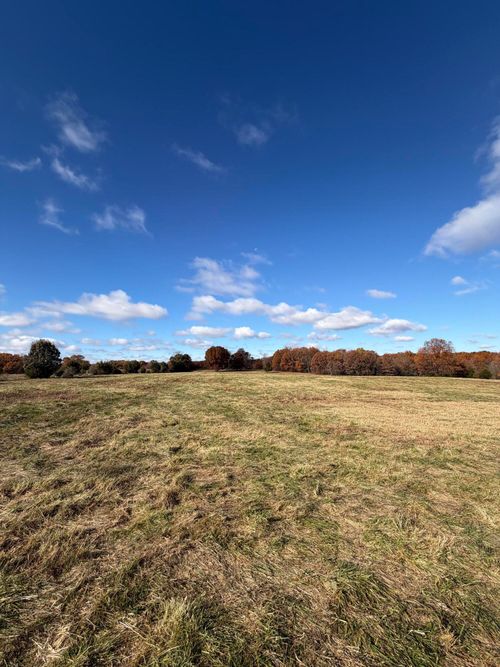 Tbd Se 1325th Rd, Weaubleau, MO, 65774 | Card Image