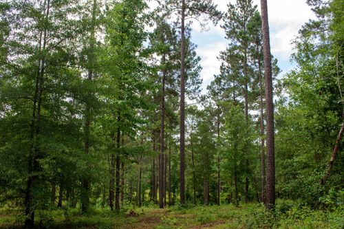 12-139 Overlook Drive, Eatonton, GA, 31024 | Card Image