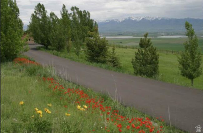 View of road featuring a rural view | Image 7