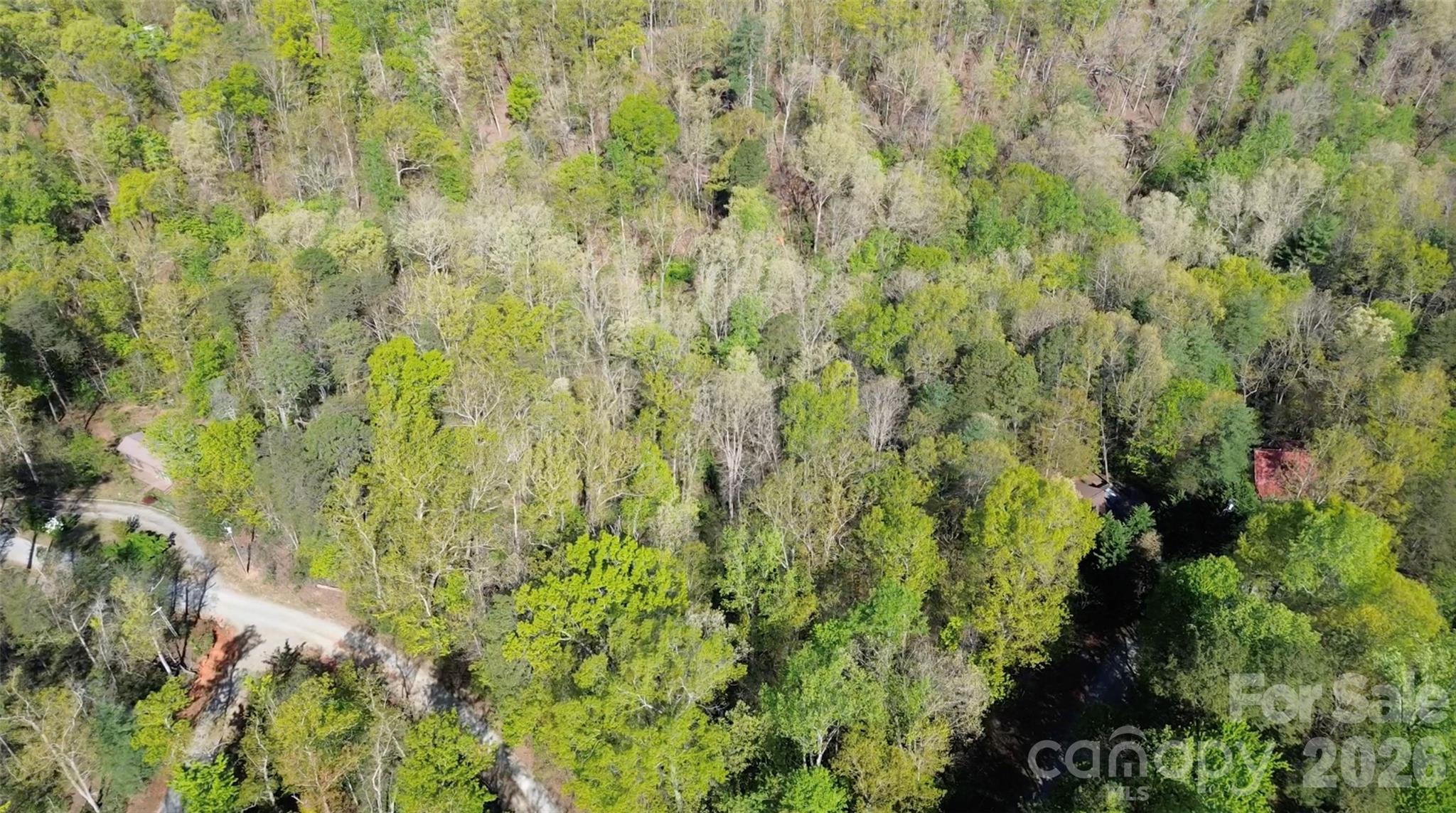 Land in Lake Lure 5