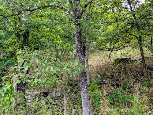 7 Quail Run Ln, Holiday Island, AR, 72631-4514 | Card Image