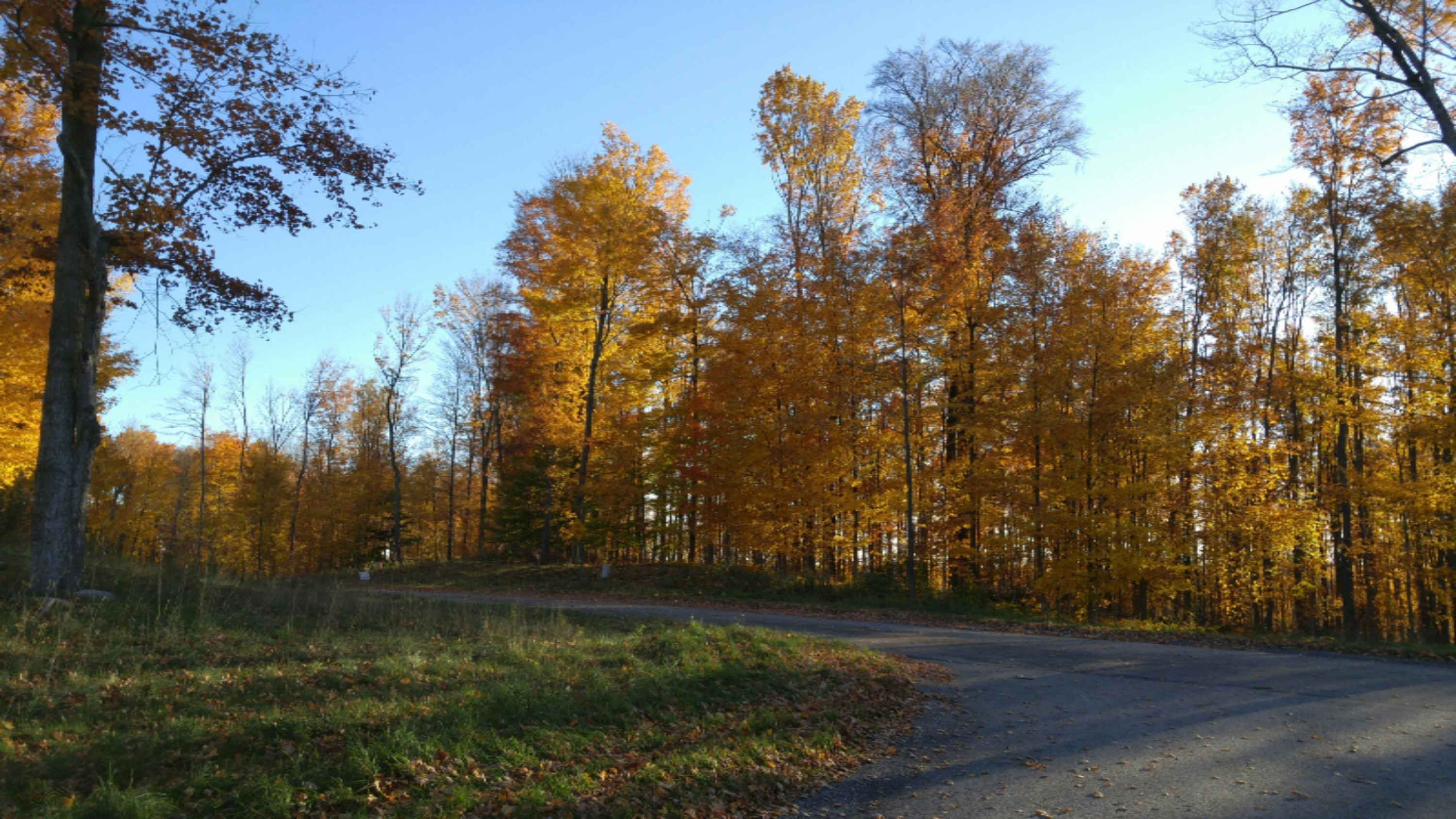 20735 Rolling Hills Lane, For Sale in Big Rapids Zoocasa