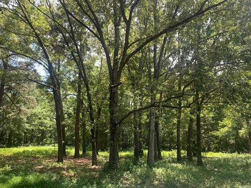 365 Skinner Rd, Austin, AR, 72007-9222 | Card Image