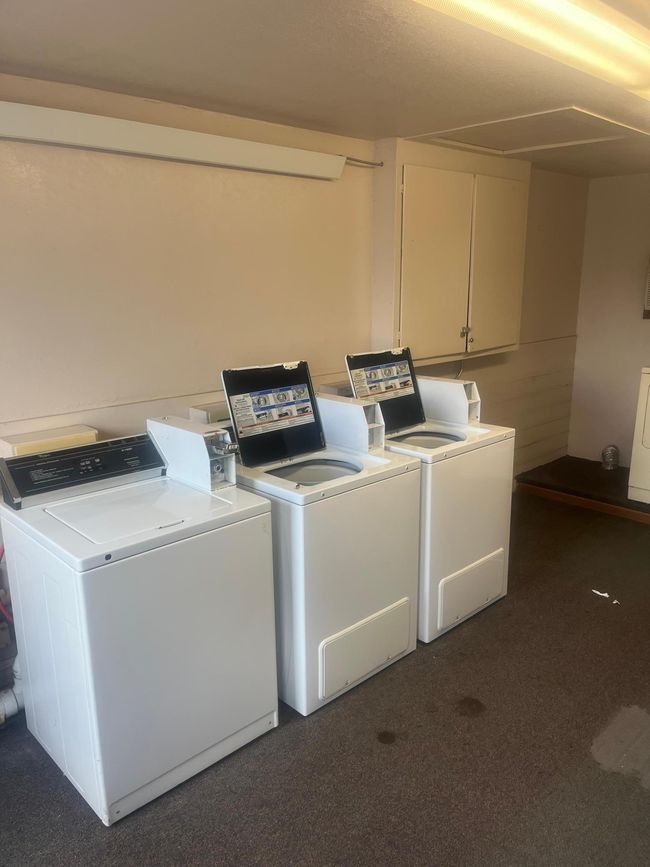 Common Laundry | Image 23