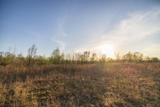 14310 E State Route A, House other with 3 bedrooms, 3 bathrooms and null parking in Archie MO | Image 67