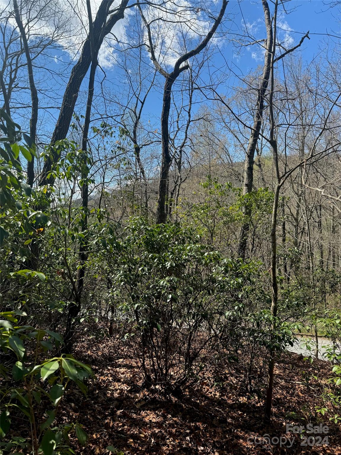 23 Red Oak Drive, For Sale in Mills River Zoocasa