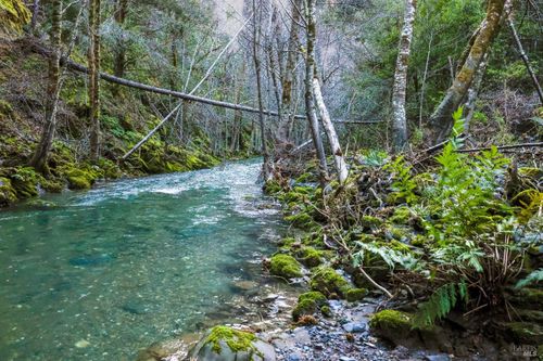 19801 Kelly Rd, Geyserville, CA, 95441 | Card Image